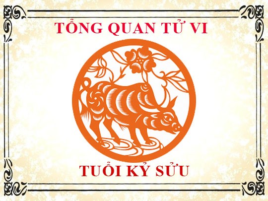 Sinh năm 2009 mệnh gì? Là tuổi gì? Hợp với màu gì? Hợp hướng nào?