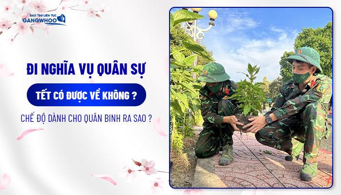 Đi nghĩa vụ quân sự tết có được về không? Chế độ dành cho quân binh ra sao?