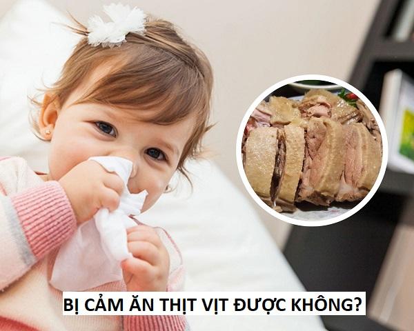 Bị cảm ăn thịt vịt được không? Nên ăn gì là tốt nhất cho sức khỏe