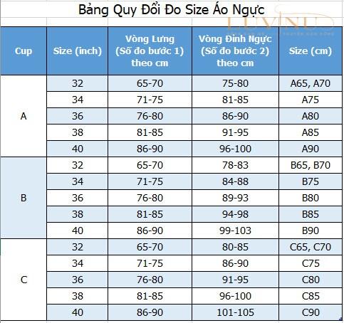 Áo ngực size 32, 34, 36, 38, 40, 42 là bao nhiêu cm