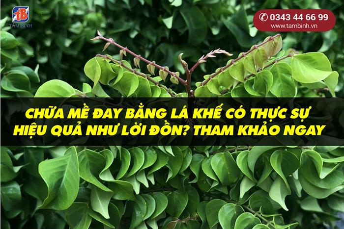 Chữa mề đay bằng lá khế có hiệu quả như lời đồn? Tham khảo ngay