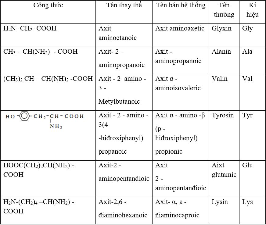 Lý thuyết về amino axit.