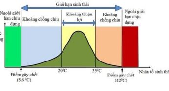 Bài 1: Môi trường và các nhân tố sinh thái