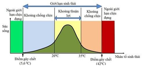 Bài 1: Môi trường và các nhân tố sinh thái