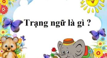 Trạng ngữ là gì? Chức năng, phân loại, ví dụ