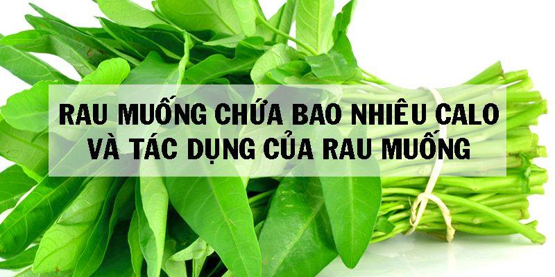 Ăn 1 Bó Rau Muống Chứa Bao Nhiêu Calo, Năng Lượng