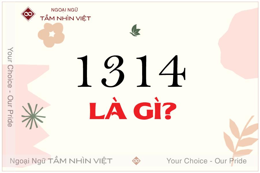 1314 là gì? Giải mã ý nghĩa con số 1314