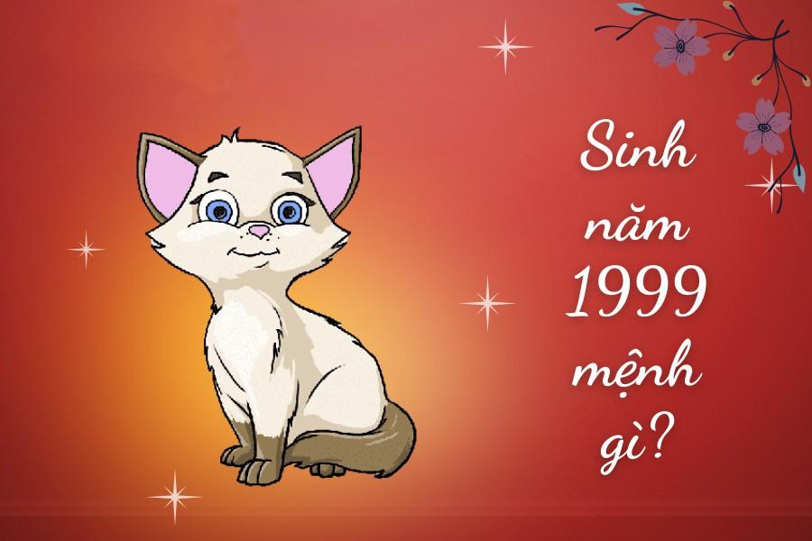 Tử vi người sinh năm 1999: 1999 mệnh gì? hợp màu gì? tính cách ra sao?