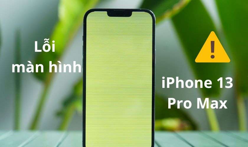 iPhone 13 Pro Max bị lỗi màn hình 1