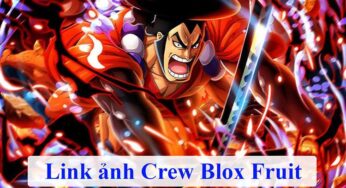 Link ảnh Crew Blox Fruits đẹp nhất, mới nhất 2023