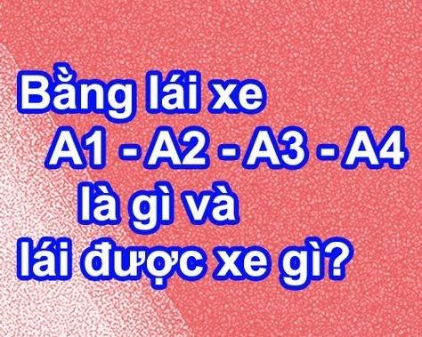 Bằng lái xe A1, A2, A3, A4 chạy được xe gì? Quy định năm 2024