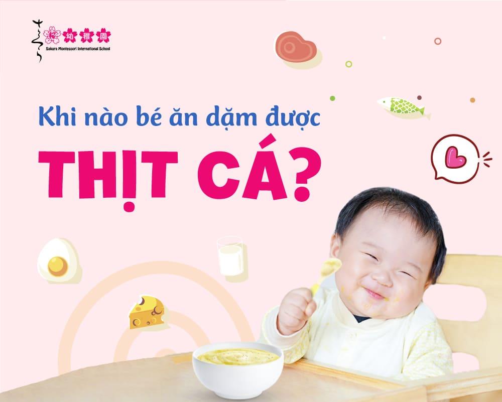 Khi nào bé ăn dặm được thịt cá? – Sakura Montessori