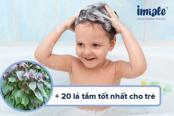[Cập nhật 2022] 20+ Lá tắm cho trẻ sơ sinh: An toàn, phù hợp cho da trẻ