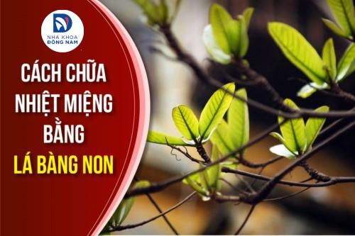 Cách chữa nhiệt miệng bằng lá BÀNG non – “Thần dược” trị bách bệnh