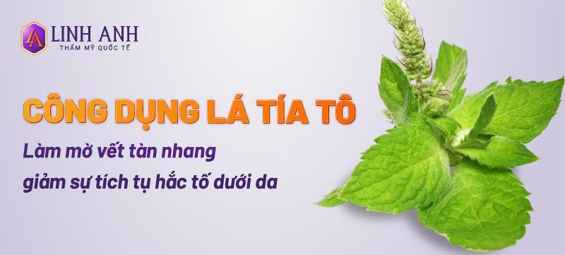 Cách trị tàn nhang bằng lá tía tô đơn giản, hiệu quả tại nhà