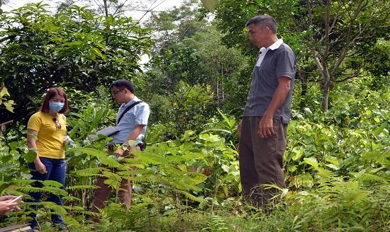 Trách nhiệm bảo vệ rừng? Toàn dân phải làm gì để bảo vệ rừng?