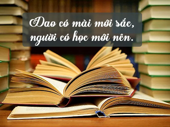 60 câu ca dao tục ngữ thành ngữ về học tập, học hành rèn luyện