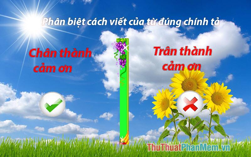 Chân thành cảm ơn hay Trân thành cảm ơn mới đúng chỉnh tả?