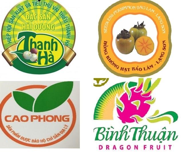 Pháp luật quy định như thế nào về bảo hộ chỉ dẫn địa lý?