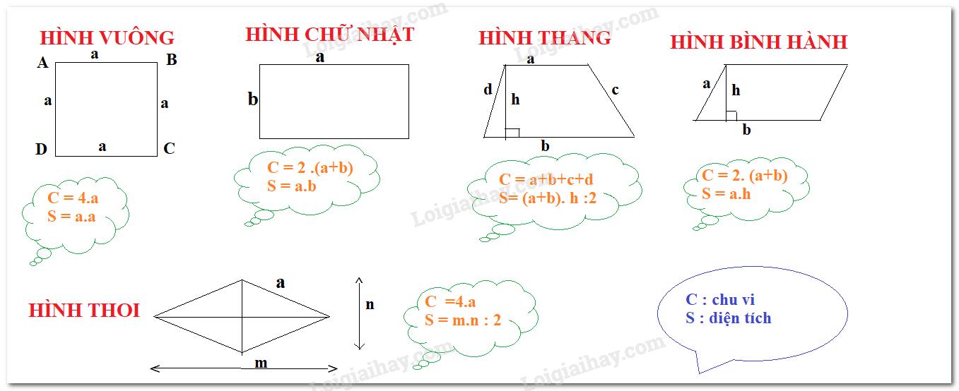 Lý thuyết Chu vi và diện tích của một số hình trong thực tiễn Toán 6 Chân trời sáng tạo 