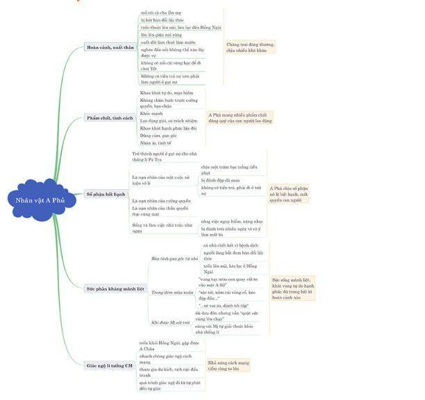 Sơ Đồ Tư Duy Nhân Vật A Phủ Bài Vợ Chồng A Phủ Chi Tiết