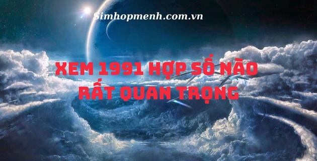 Tân Mùi 1991 hợp số nào và cách dùng con số hợp tuổi 1991