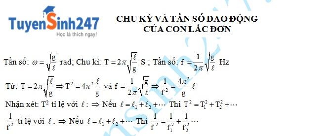 Chu kỳ và tần số dao động của con lắc đơn