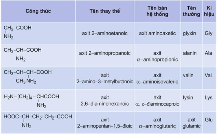 Amino axit là gì? Công thức các amino axit cần nhớ