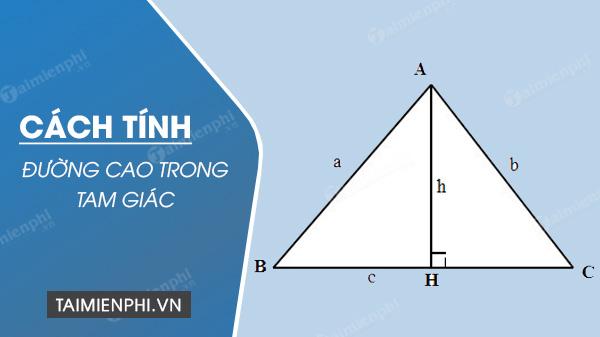 Cách tính đường cao trong tam giác cân, đều, vuông