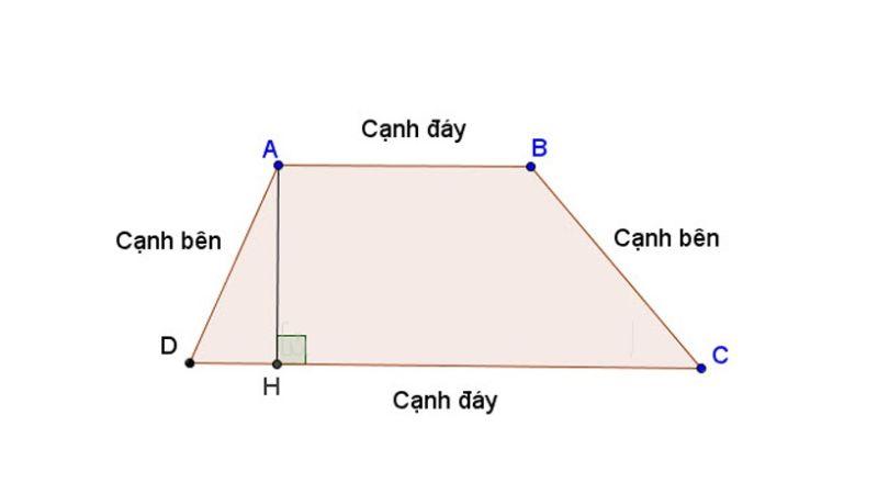 Cách tính diện tích hình thang & hình thang vuông, bài tập thực hành minh họa chi tiết