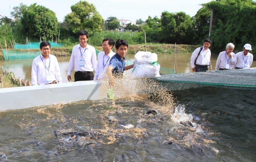 Điều kiện thuận lợi nuôi trồng thủy sản nước ngọt là gì?