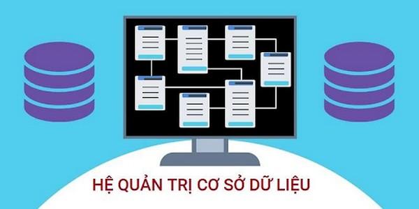 Các kiểu dữ liệu trong Access cơ bản chuẩn nhất cho người mới