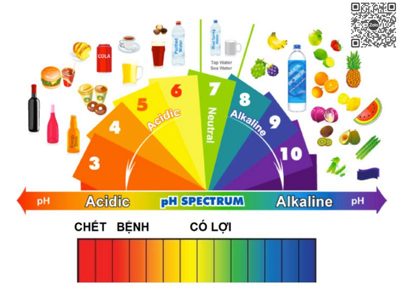 Độ pH là gì? Cách tính độ pH và dung dịch độ pH