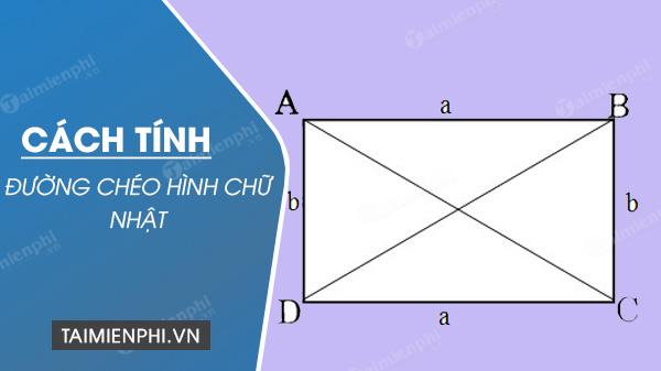 Cách tính đường chéo hình chữ nhật khi biết độ dài 2 cạnh hoặc diện tích, chu vi