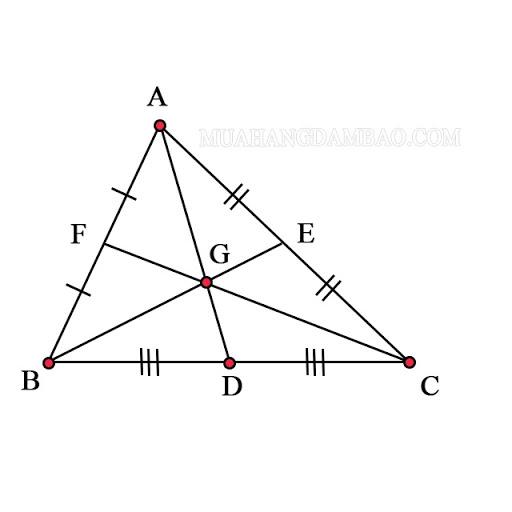 Đường trung tuyến là gì? Tính chất đường trung tuyến của tam giác vuông