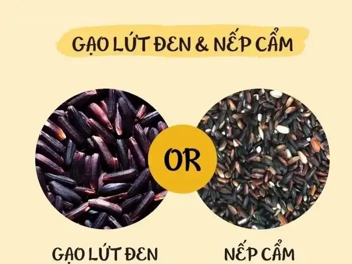 Gạo nếp cẩm và gạo lứt giống nhau không?