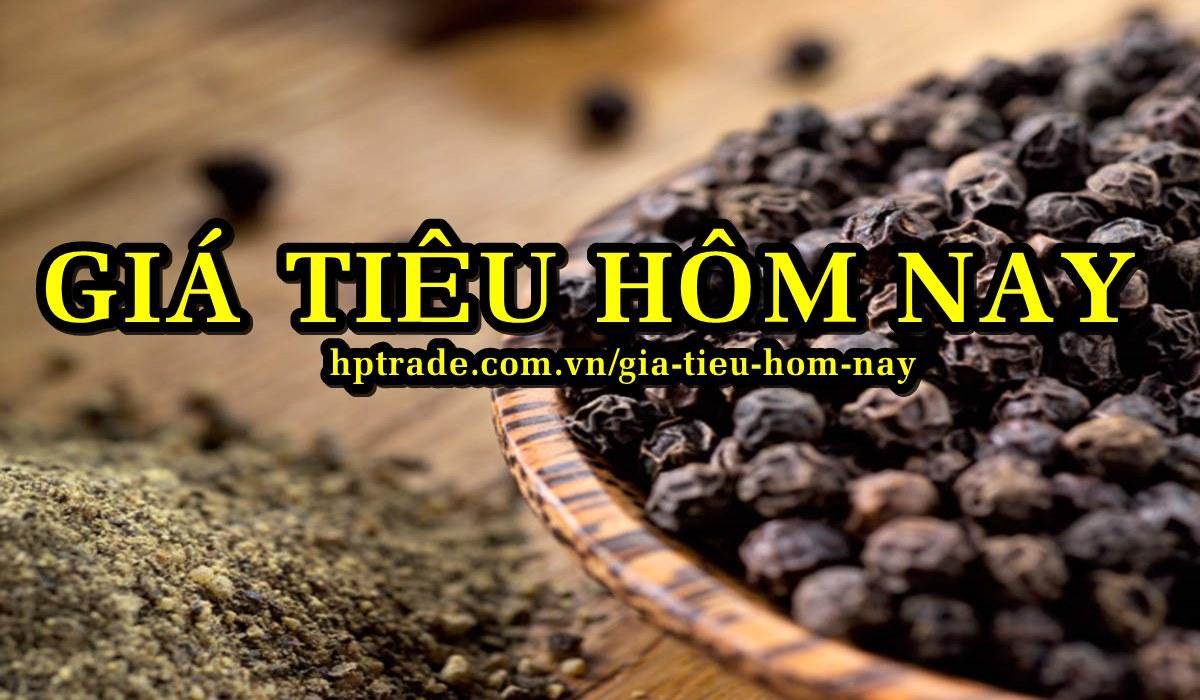 Giá Tiêu Ngày Hôm Nay Trực Tuyến Mới Nhất 2024 Chính Xác