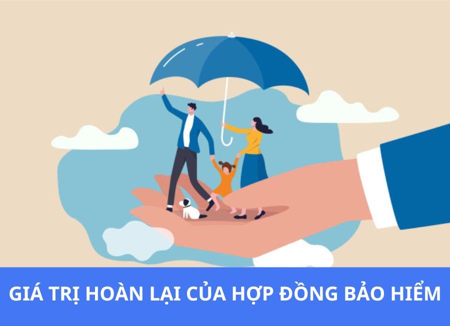 Tất cả thông tin cần biết về giá trị hoàn lại của hợp đồng bảo hiểm