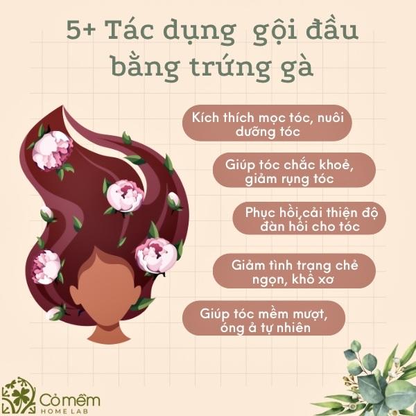 #10+ Tips Gội Đầu Bằng Trứng Gà "Giúp Mềm Mượt X10 LẦN"