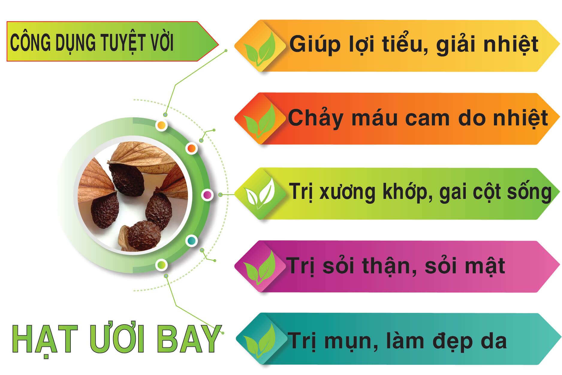 Hạt Ươi Bay Chuẩn Loại 1