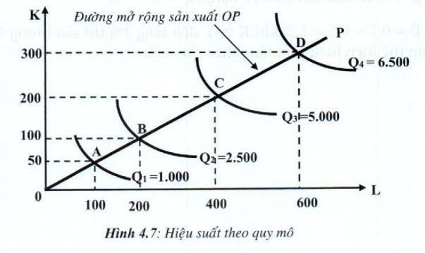 Năng Suất Tăng Dần Theo Quy Mô Là Gì? Kinh Tế Vi Mô 2023