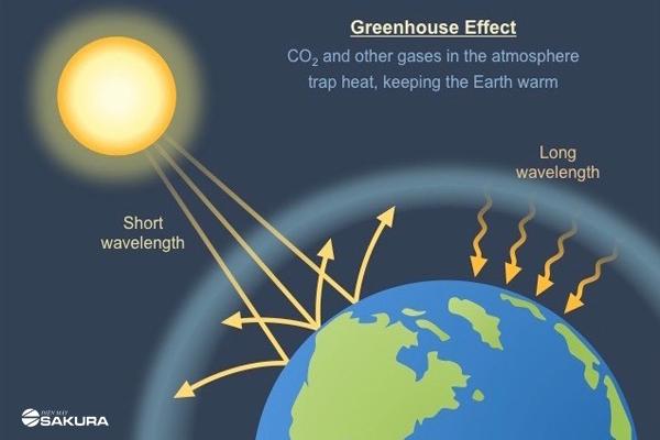 Hiệu ứng nhà kính là gì? Nguyên nhân, hậu quả và cách khắc phục