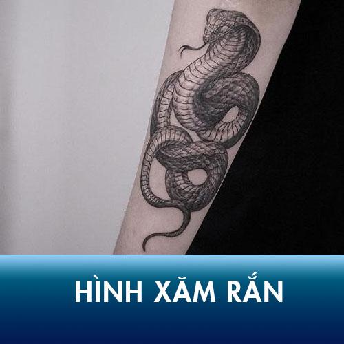 Hình xăm rắn – Biểu tượng của sự CÁM DỖ, XẢO QUYỆT