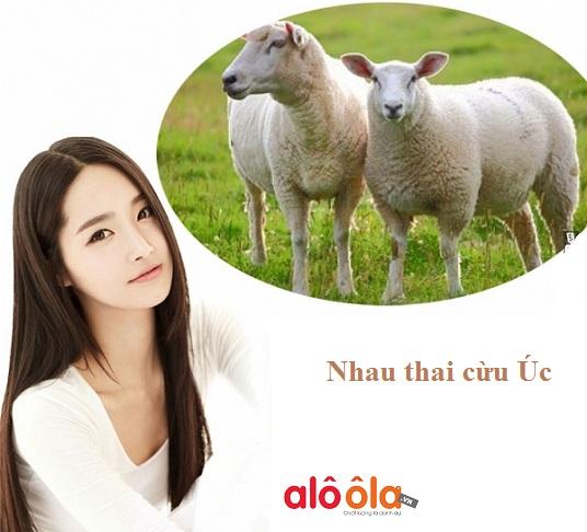 Tác dụng của nhau thai cừu Úc Đối với sức khỏe và sắc Đẹp