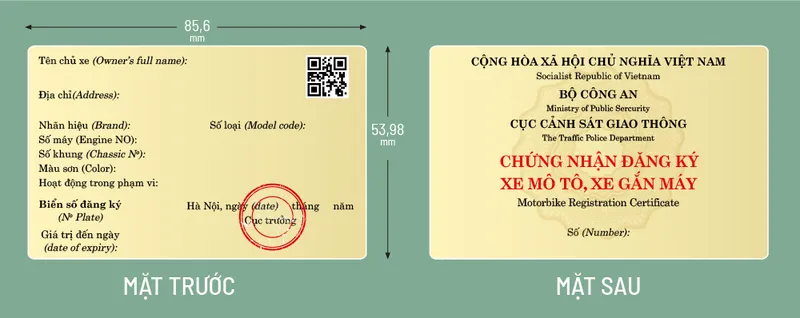 Cà vẹt xe là gì? Không có cà vẹt xe bị phạt thế nào?