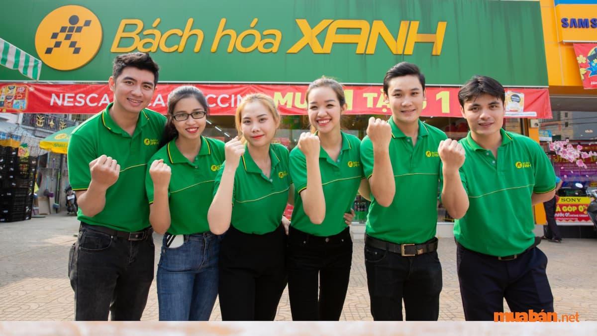 Có nên làm ở Bách Hóa Xanh không? Cập nhật mức lương mới nhất 2023