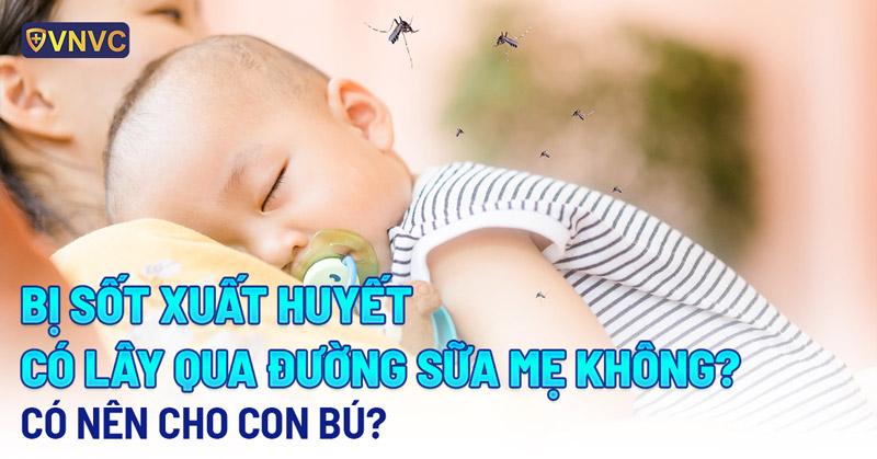 Bị sốt xuất huyết có lây qua sữa mẹ không? Có nên cho con bú?