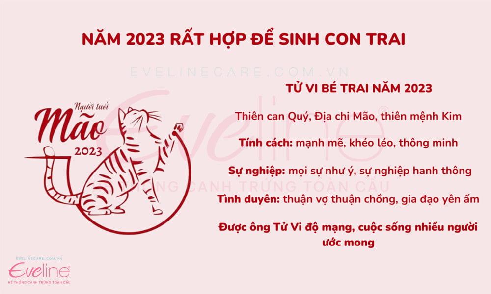 Sinh con trai năm 2023 tháng nào tốt, hợp tuổi với bố mẹ?