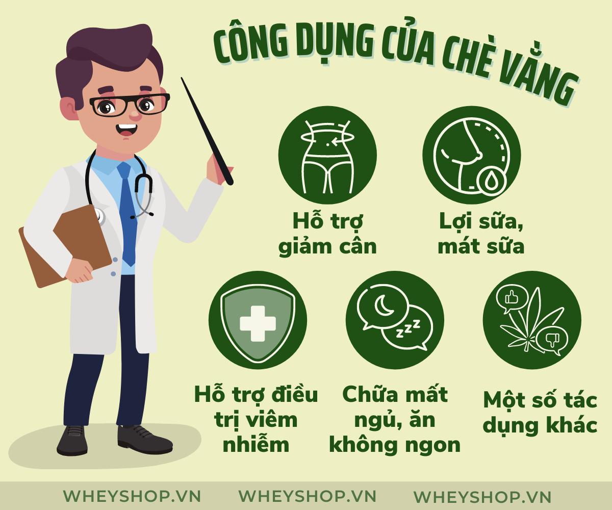 Cách uống chè vằng giảm cân hiệu quả 13kg trong 4 tháng