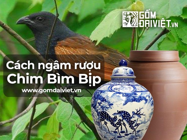 Cách ngâm rượu bìm bịp thơm ngon tự làm tại nhà như thế nào ?